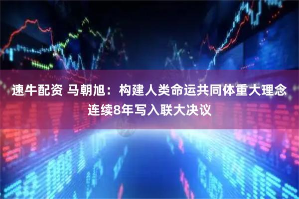 速牛配资 马朝旭：构建人类命运共同体重大理念连续8年写入联大决议