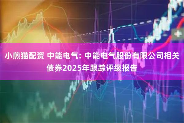 小煎猫配资 中能电气: 中能电气股份有限公司相关债券2025年跟踪评级报告