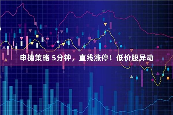 申捷策略 5分钟，直线涨停！低价股异动